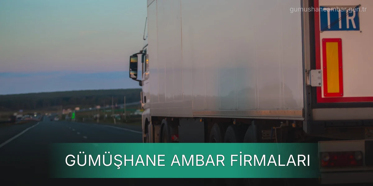 İstanbul Gümüşhane Ambar Firmaları