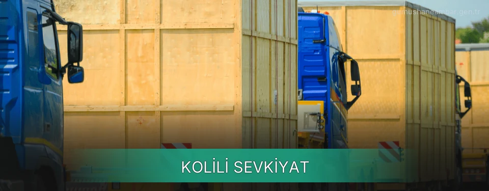 Gümüşhane Kolili Yük Taşıma İletişim