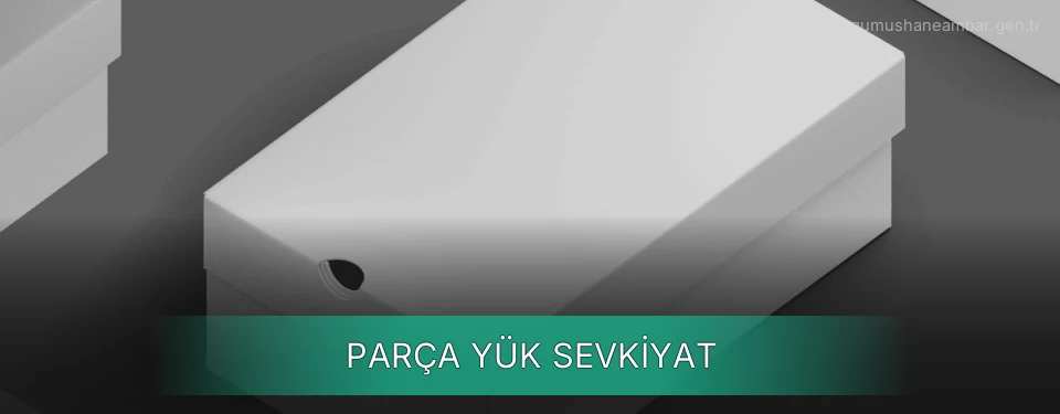 Gümüşhane Parça Yük Toplama ve Dağıtım