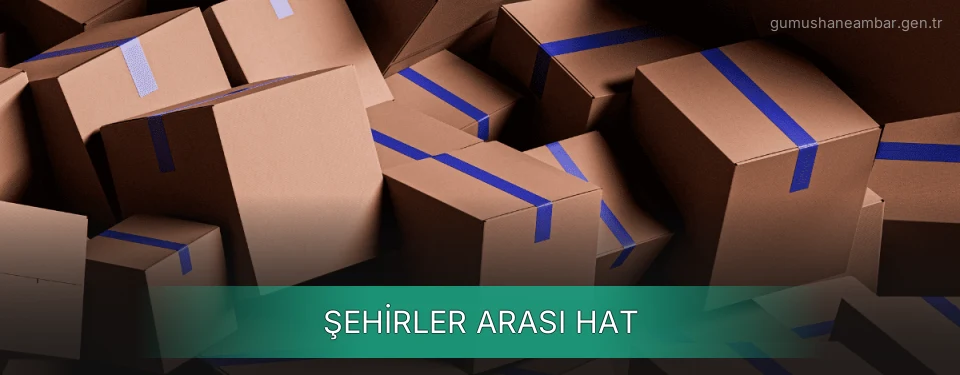 Gümüşhane Şehirler Arası Hat Planlama